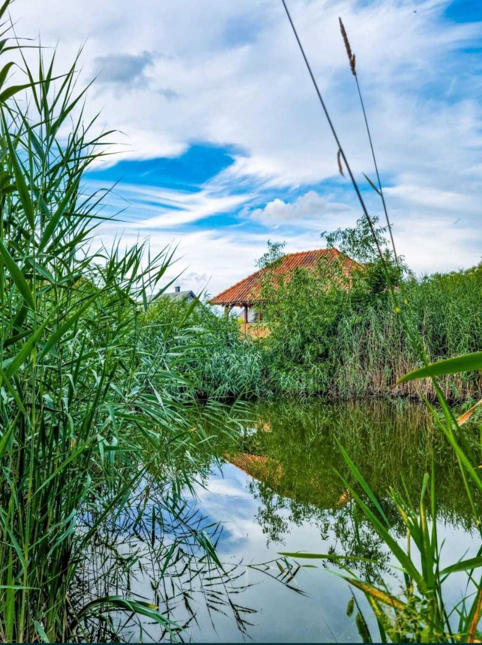 Вилла Agroturystyka Pod Podkowa Мронгово Экстерьер фото