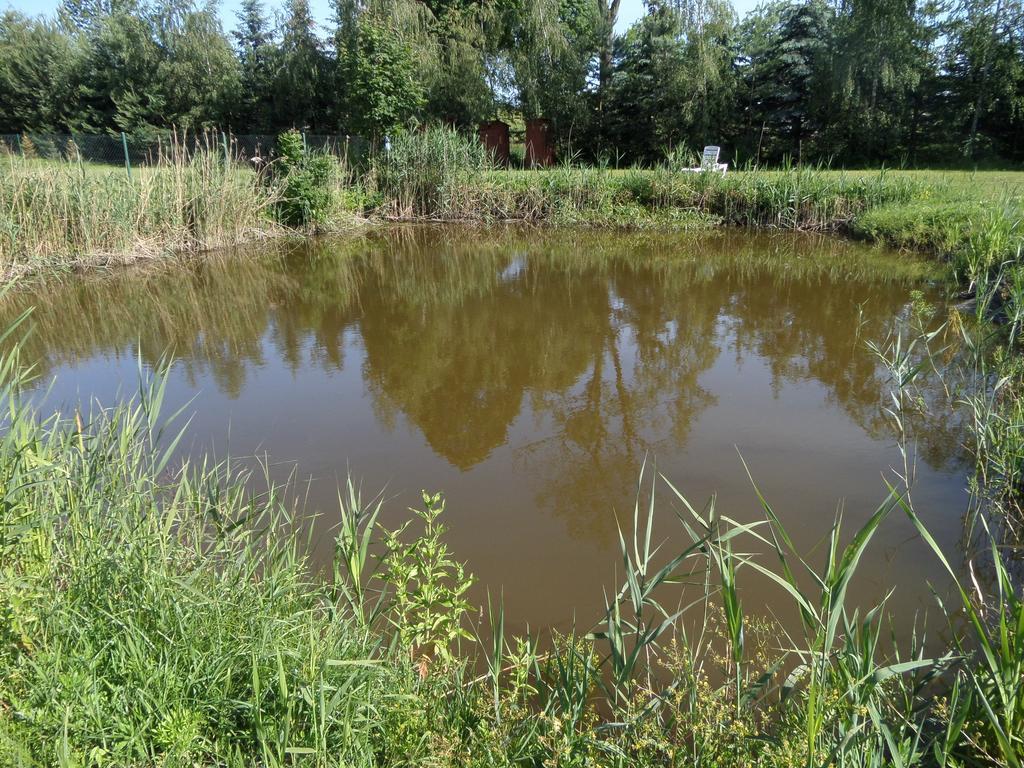 Вилла Agroturystyka Pod Podkowa Мронгово Экстерьер фото