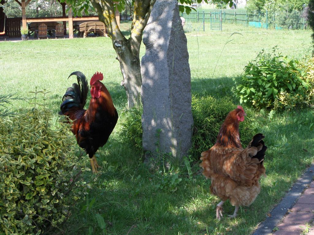 Вилла Agroturystyka Pod Podkowa Мронгово Экстерьер фото